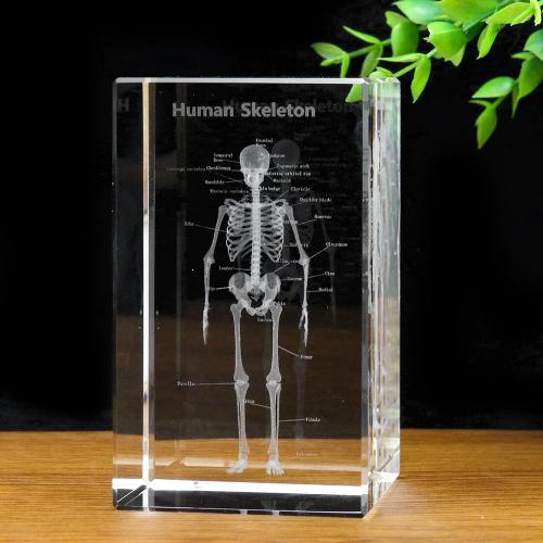 Muy Bien-Modules d'anatomie humaine carimplantés au laser 3D en cristal, modèle de cube de leton, pensée presse-papiers, cadeau de science médicale, décoration d'intérieur