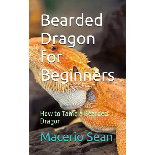 Bearded Dragon For Beginners: How To Tame A Bearded Dragon