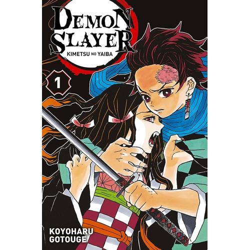 Demon Slayer - Tome 1