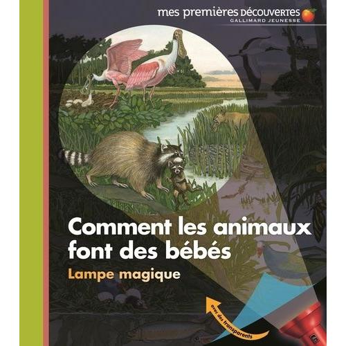 Comment Les Animaux Font Des Bébés