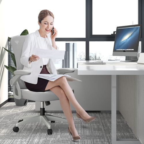 Chaise De Bureau - Naspaluro Ergonomique Siège - Fauteuil Avec Accoudoir Rabattable À 90° - Support Lombaire - Réglable En Hauteur Gris