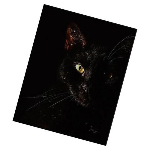 Affiche en toile de chat noir, décor de maison, peinture en tissu, tableau d'art mural