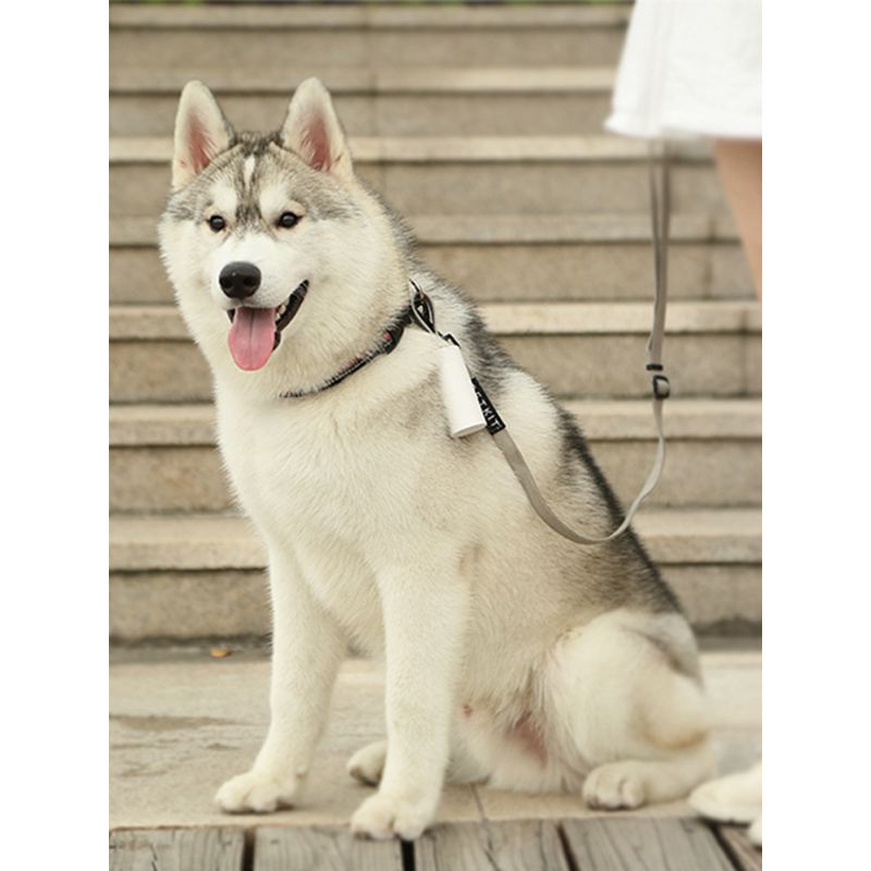 Distributeur Portable De Sacs  Crottes Pour Animaux De Comp... - 3
