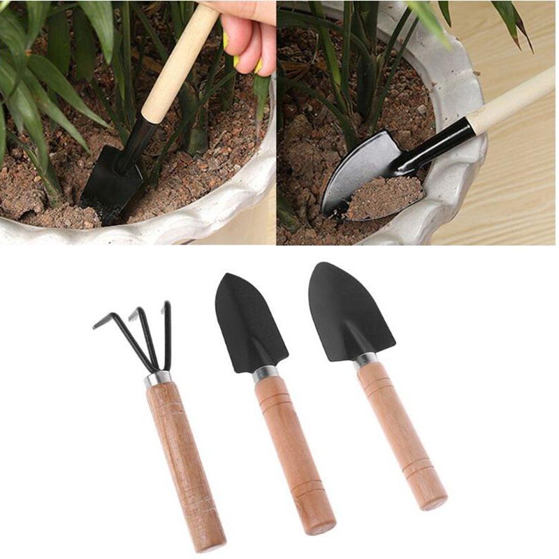 Mini outils de jardinage manuel, 3 pièces/ensemble, petite pelle, râteau,  pot de plantes, plantation de fleurs