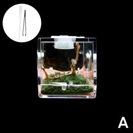 Boîte D'alimentation Pour Insectes Et Araignées, Boîte D'élevage De Reptiles, Accessoires De Terrarium, Boîte À Insectes Pour Araignée, Criquet, Tarentule D'escargot