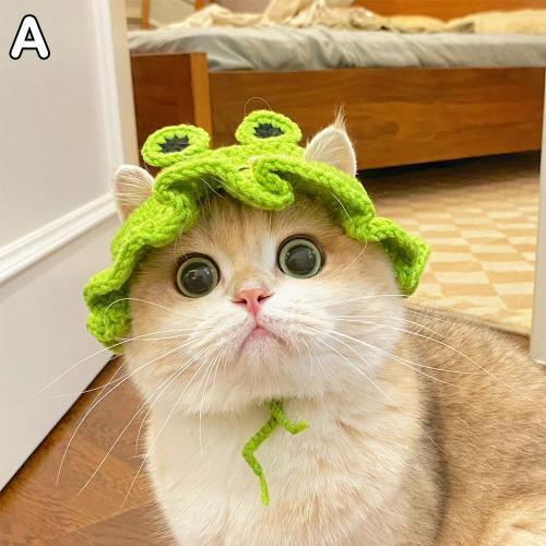 Chapeau De Dessin Animé Drôle Pour Animal De Compagnie, Chapeau De Chat Élastique, Sangle Réglable, Fait À La Main Avec Du Fil De Laine, Bonnet De Grenouille Pour Costume De Fête, Tête De Chien, Y2t6