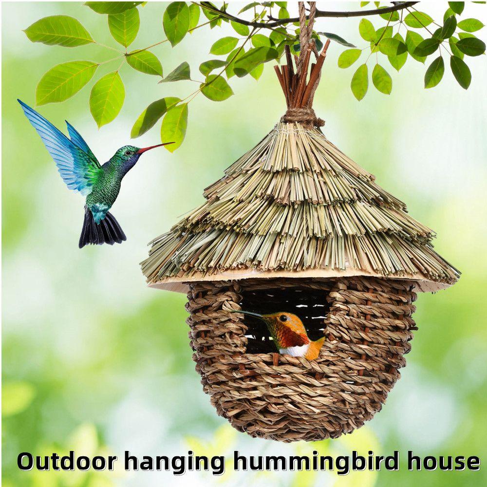Cage à oiseaux pour perroquet, Cage d'extérieur en acrylique, Cage de  visualisation extérieure, nid d'oiseau – acheter aux petits prix dans la