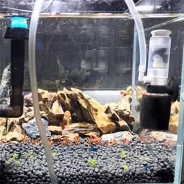 2 pièces Aquarium Betta Filtre, éponge Filtre biochimique, Aquarium Fish  Tank Mini Filtre, Aquarium Accessoires(Noir/