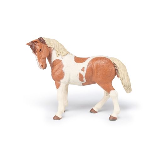 Chevaux, Poulains Et Poneys Jument Pinto
