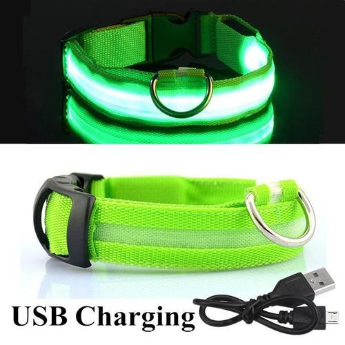 Collier Lumineux Réglable Led Pour Chien, Accessoire Clignotant Anti-Perte, Ceinture De Sécurité Nocturne, Animal De Compagnie, Chat, Chien Petite, Moyenne Et Grande Taille