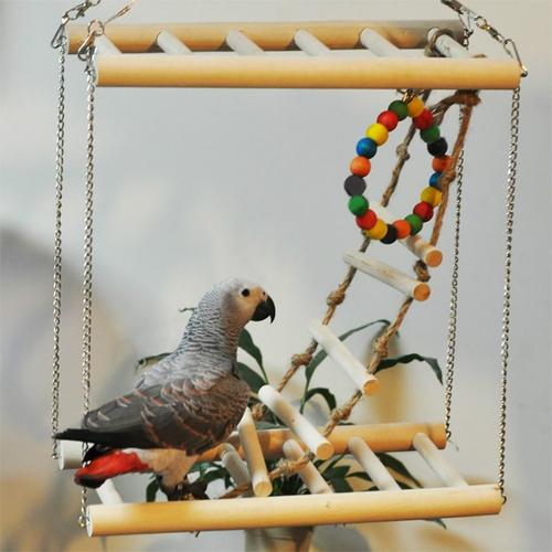 Jouet Perroquet, Echelle Oiseau Cage Accessoires Cage Oiseaux Pont