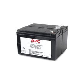 Cartouche de batterie de rechange APC #113 - Batterie d'onduleur - 1 x batterie - Acide de plomb - noir - pour Back-UPS RS 1100