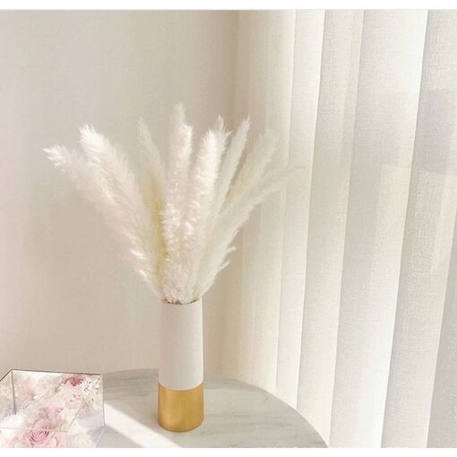 30 pcs Herbe de la Pampa, 55 cm Naturel Pampa Fleur Bouquet de Fleurs ...