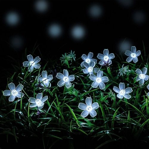 Lumière Blanche Guirlande Lumière Solaire Extérieure Multicolore Led Batterie Imperméable 7m 50 Led Mode Décoratif Jardin Terrasse Famille Noël Pâques Partie Patio Balcon