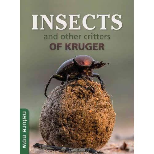 Insects And Other Critters Of Kruger