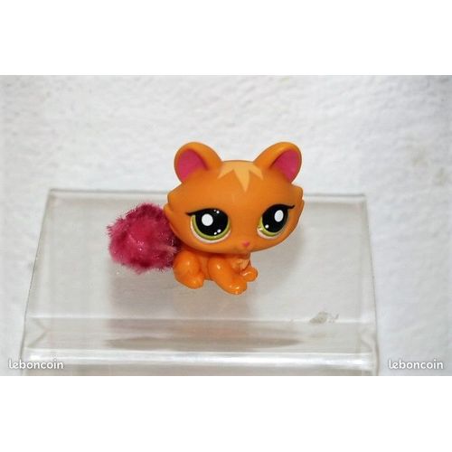 Petshop Lps Chat Sphynx N° 2576 - Hasbro