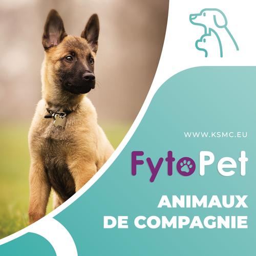 Uripet - Nutraceutique Naturel De La Gamme Fytopet Du Laboratoires Ksmc - Santé Urinaire - Confort Urinaire - Traitement - Chien, Chat - Effet Puissant - Actifs 100% D'origine Naturelle 60 Gélules 