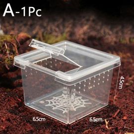 Boîte D'alimentation 1 Pièce, Cage De Reptiles, Conteneur D'éclosion, Réservoir D'élevage Pour Lézards, Terrarium, Tortue, Araignée, Coccinelle, Maison D'insecte