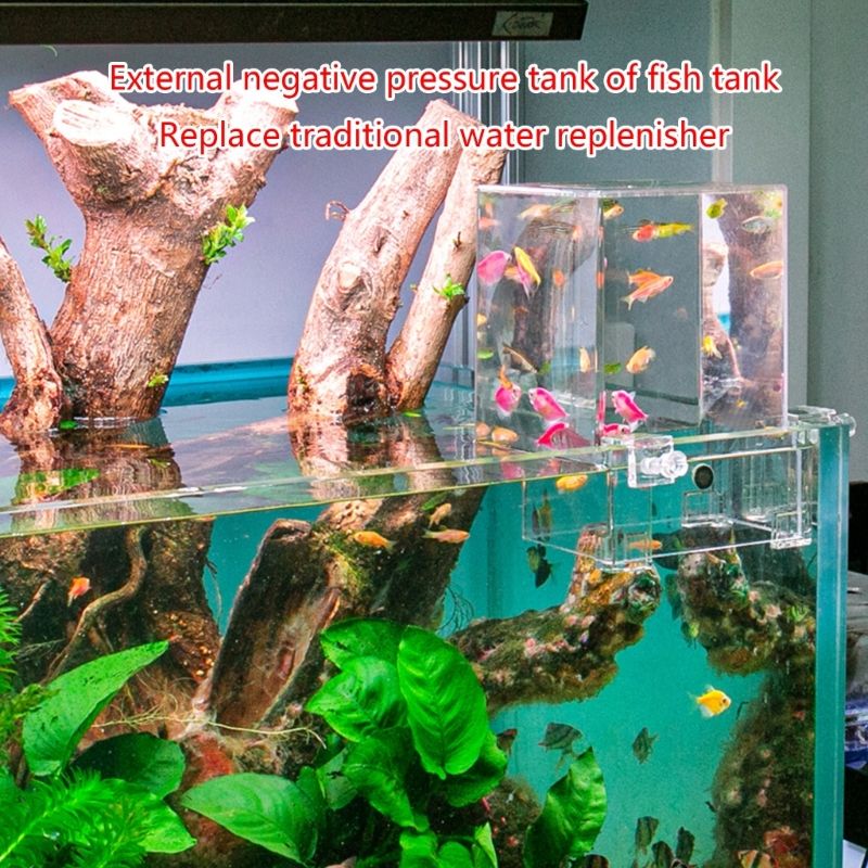 Bote D'incubateur Pour L'levage De Poissons, Profitez De L... - 4