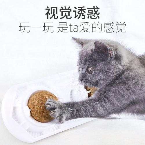 Boule D'herbe À Chat Naturel Comestible Pour Animaux De Compagnie, Jouet De Sécurité Sain Pour Chat À La Menthe, Jeu De Chasse À La Maison