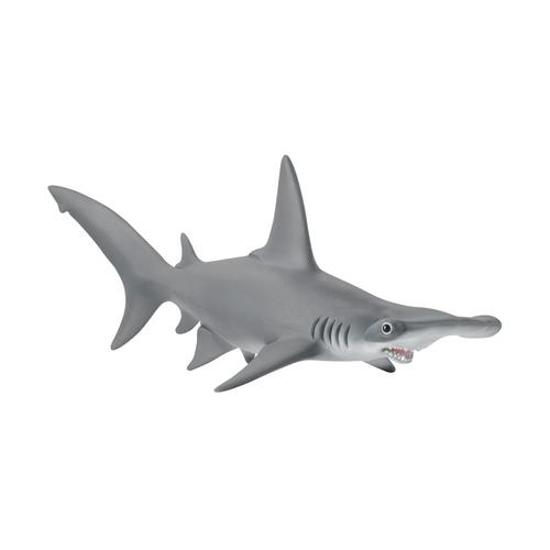 Wild Life Requin-Marteau