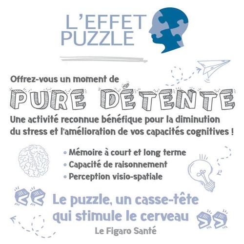 Fff Puzzle 1000 Pieces - L'équipe De France De Football - Puzzle Adultes -  Des 12 Ans à Prix Carrefour