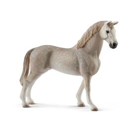 Horse Club Hongre Holstein