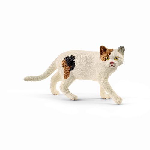 Farm World  Chat Américain Shorthair