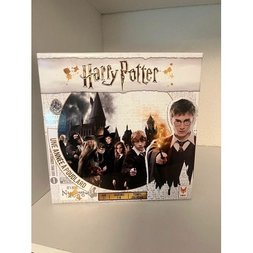 Jeu Harry Potter Une Année A Poudlard