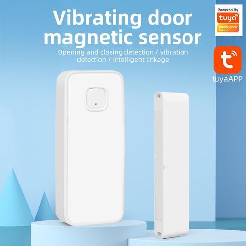 Détecteur de vibrations intelligent système d'alarme de sécurité domestique Anti-choc alarme antivol