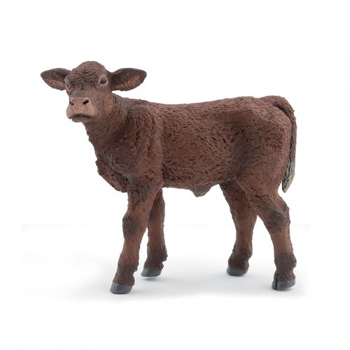 La Vie A La Ferme Veau Salers