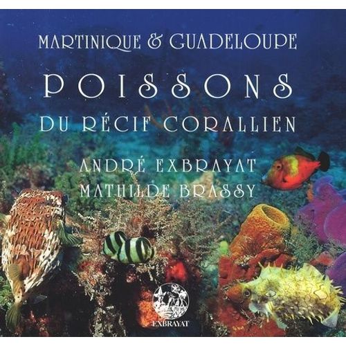 Poissons Du Récif Corallien