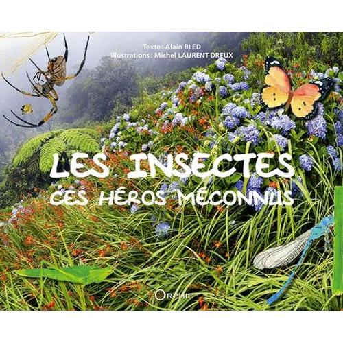 Les Insectes - Ces Héros Méconnus