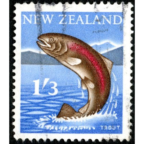 Timbre Oblitéré New Zealand, Trout, 1'3