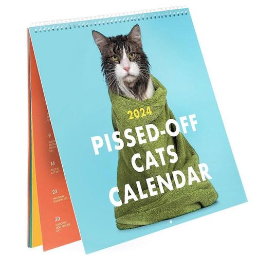 Pissed Off Cats Calendar 2024 Calendrier Mural Chat Drôle, Calendrier Créatif, Calendrier Suspendu Chat, Chat De 12 Mois