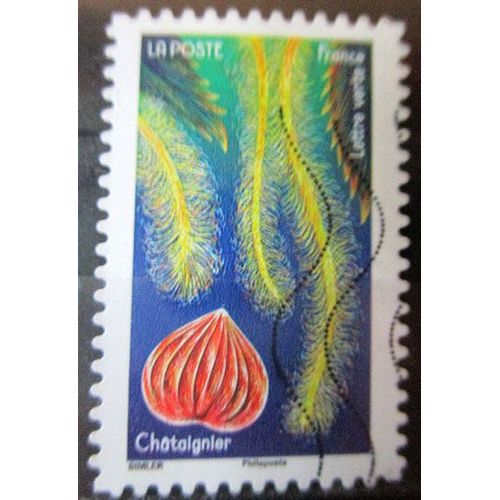 2022. Adh2134: La Châtaigne Avec Sa Fleur Et Son Fruit.