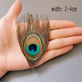 Plume De Paon Naturelle Pour L'artisanat,Grand ?il Bleu,Décoration De Lework Grossier,Décor De Plume De Faisan,Bijoux De Carnaval,Porcelaine,50 Pièces - Type Small Eye2-4cm-50pcs