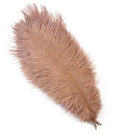 Plumes D'autruche Blanches De 15 À 60cm,Centres De Table,Accessoires De Ixde Mariage,Artisanat Décoratif,,10 Pièces - Type Brown-30-35cm