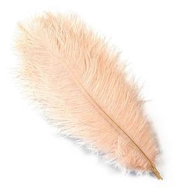 Plumes D'autruche Blanches De 15 À 60cm,Centres De Table,Accessoires De Ixde Mariage,Artisanat Décoratif,,10 Pièces - Type Champagne-30-35cm