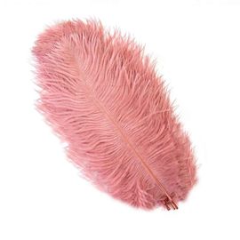Plumes D'autruche Blanches De 15 À 60cm,Centres De Table,Accessoires De Ixde Mariage,Artisanat Décoratif,,10 Pièces - Type Dark Leather Pink-55-60cm
