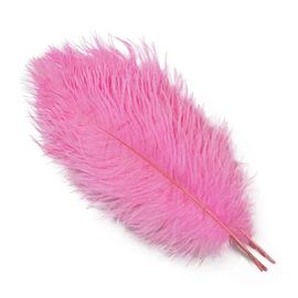 Plumes D'autruche Blanches De 15 À 60cm,Centres De Table,Accessoires De Ixde Mariage,Artisanat Décoratif,,10 Pièces - Type Dark Pink-30-35cm