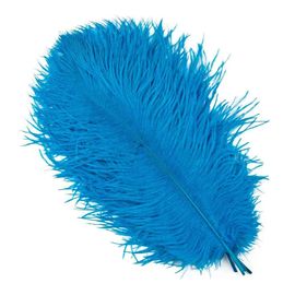 Plumes D'autruche Blanches De 15 À 60cm,Centres De Table,Accessoires De Ixde Mariage,Artisanat Décoratif,,10 Pièces - Type Lake Blue-30-35cm