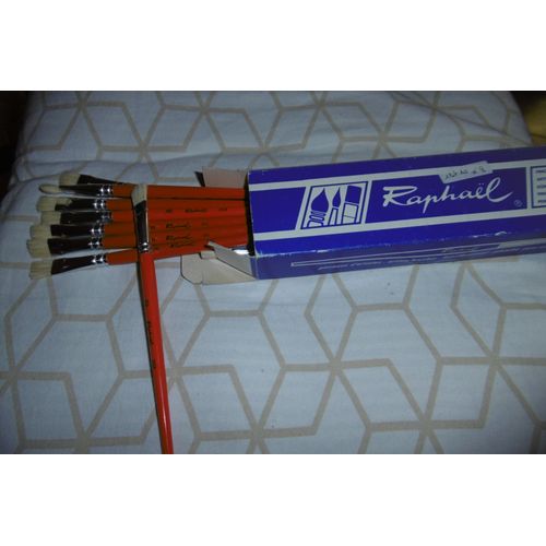 Pinceaux Brosses Plates Soie Porc N° 8 Raphael Lot De 10