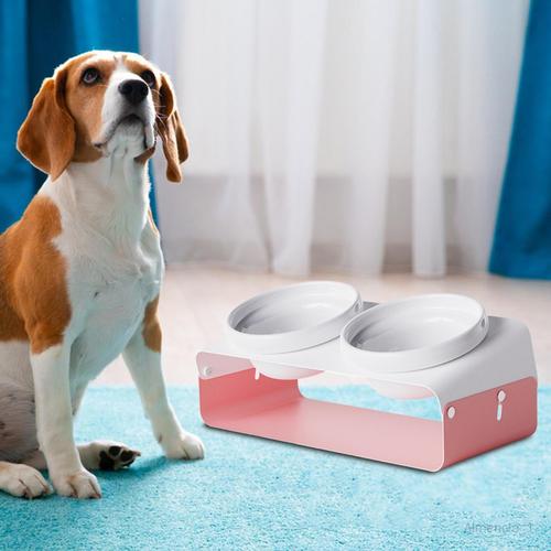 Gamelle Pour Chien Et Chat, Mangeoire Pour Animaux De Compagnie, Abreuvoir Surélevé Pour Animaux Domestiques, Bol De Protection Du Cou, Bols Doubles Rose