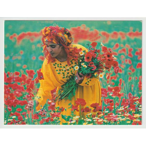 Carte Postale Cueillette De Fleurs, Haut-Atlas, Maroc