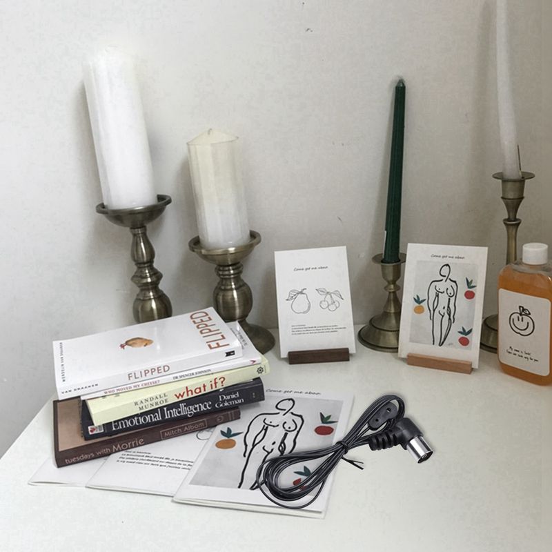 Antenne Diple FM pour Rcepteur de Home Cinma, Connecteur ... - 2