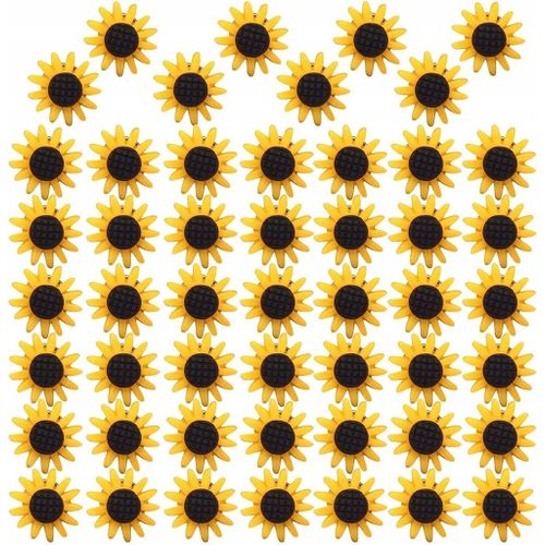 Récipients De Tournesol Créatifs, Tournesol Pi