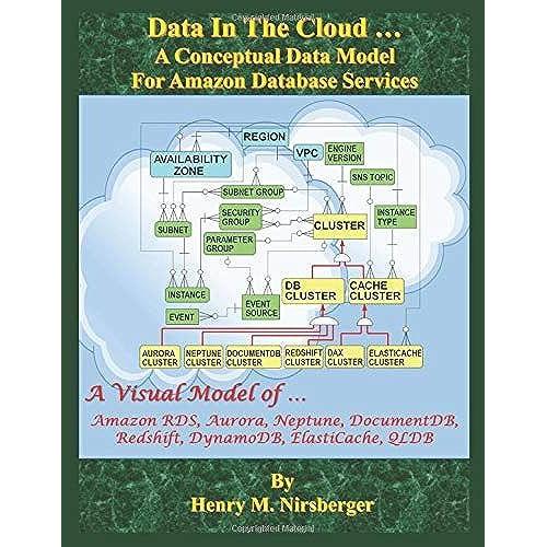 Data In The Cloud: A Conceptual Data Model For Amazon Database Services (Visual Cloud Computing)