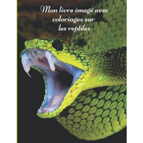 Mon Livre Imagé Avec Coloriages Sur Les Reptiles: Mon Premier Imagier Pour Les Enfants Sur Les Animaux Avec Des Photos En Couleur De Serpents, ... Pour Une Activité Ludique Supplémentaire