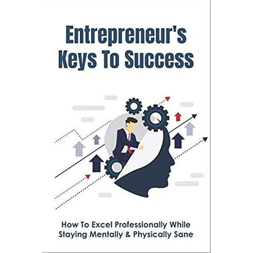 Entrepreneur's Keys To Success: How To Excel Professionally While Staying Mentally & Physically Sane: And Successful Entrepreneur